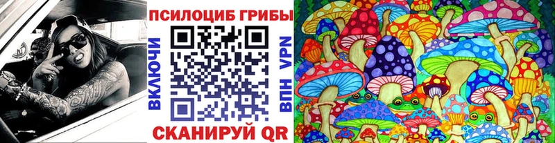 Галлюциногенные грибы Cubensis Суздаль