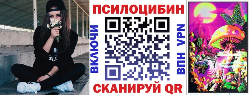 даркнет сайт  Суздаль  Псилоцибиновые грибы Psilocybine cubensis 